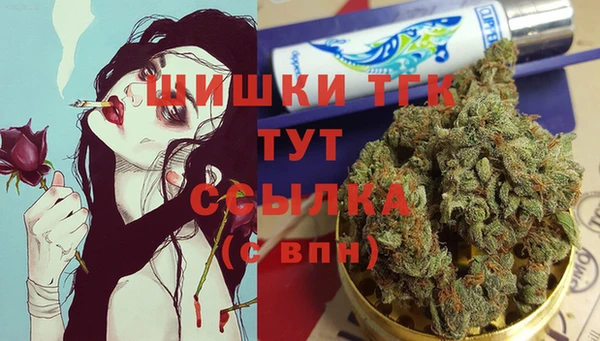 гидропоника Алзамай