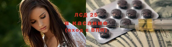 гидропоника Алзамай