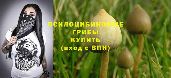 гидропоника Алзамай
