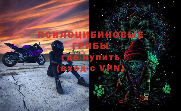 герыч Алексин
