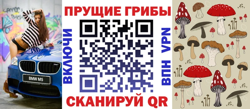 это как зайти Южно-Сахалинск Галлюциногенные грибы мицелий